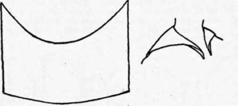 Fig. 72