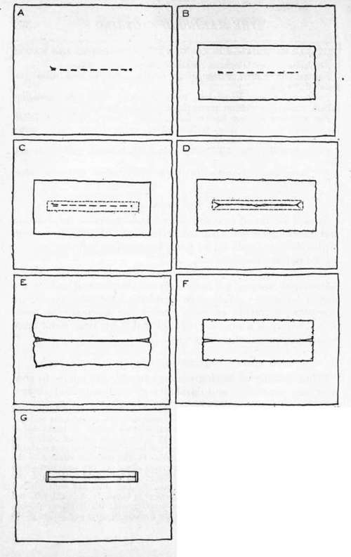 Fig. 84