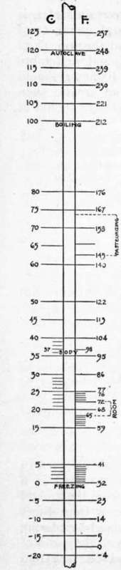Outdoor Thermometer 100