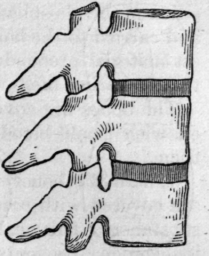 Fig. 59.