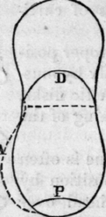 Fig. 61.