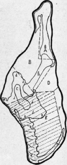 Courtesy of Bureau of Publications, Teachers College