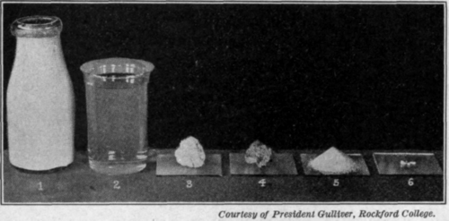 Fig. 1.   Composition of milk.
