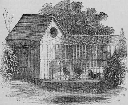 Bantam House for a Lawn.
