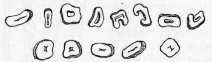 Fig. 18. Sections of Ordinary and Mercerized Cotton Fibres