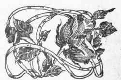 A Beautiful Legend 100172