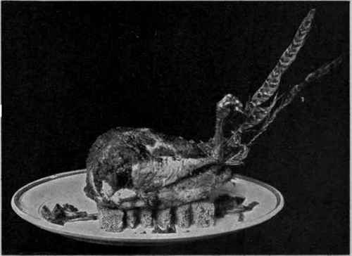 Roast pheasant