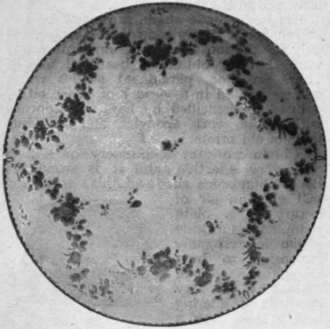 A Chelsea derby plate with laurel green decoration which was copied at Bristol