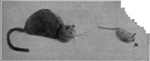 A cat and a mouse, a lifelike group made of nuts