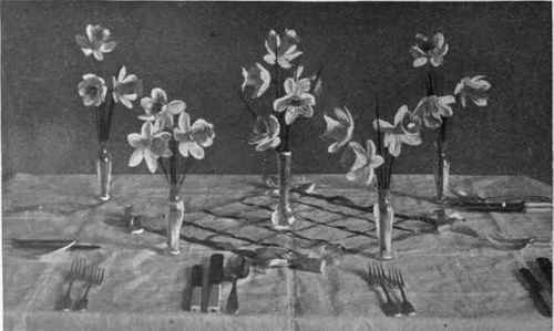 A ribbon lattice work forms a charming groundwork for vases of daffodils. The design can be arranged direct on to the table