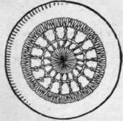 A round motif of lace is sawn down on a button covered with Shantung silk or fine linen between these threads spider web fashion