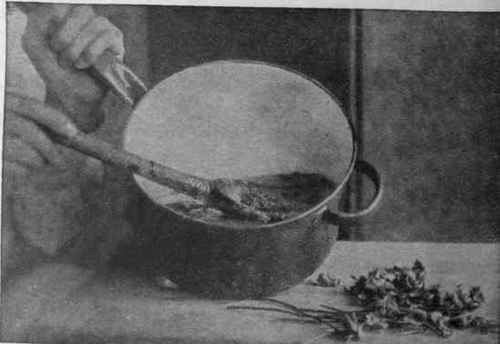 A syrup having been prepared, the flowers are dropped into it, and submerged lightly with a wooden spoon