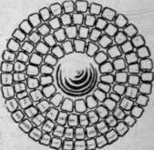 Beads threaded on wire are sewn down on to a satin covered mould