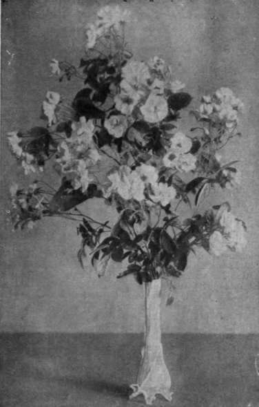 Fig. 3. A vase of blush rambler