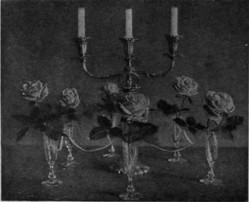 Fig. I. How to decorate the centre of a table with vases, in each of which a fine specimen rose and its leaves are put