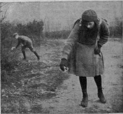 Two hares putting the hounds on a false trail by going different ways for a time