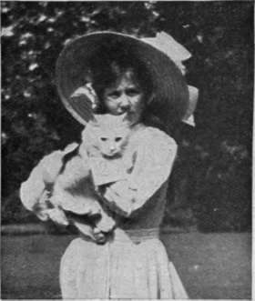 A charming second prize winner in the cat class