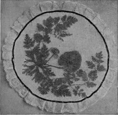 A d'oyley ornamented with pressed flowers, between two circles of fine net or muslin, is a dainty adjunct to the table