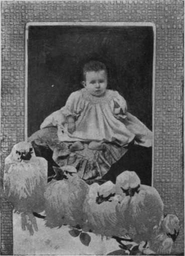 A piece of cardboard covered with a ground design wall paper, with a group of birds carefully cut out and pasted at each end, forms a pocket into which a photograph or picture postcard can be placed