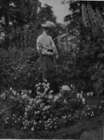 A scented garden is a delightful possession. Even a small flower bed such as the above, filled with roses and sweet' scented plants, will make a beautiful feature in a garden