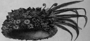 A smart toque can be easily contrived by the help of a transferable floral mount