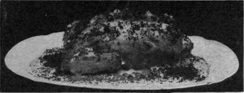 Boiled Fowl with Egg Sauce