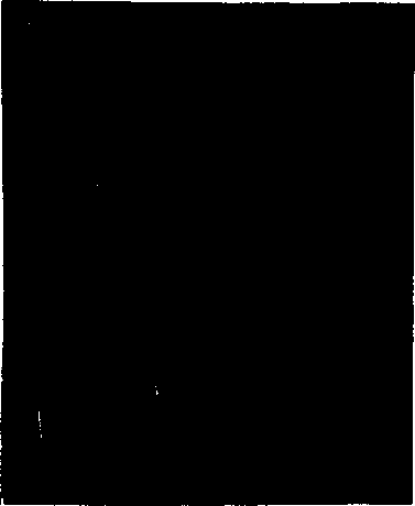 Fig. 5. Showing a portion of a torn surface, with an underlying patch securely tacked in position