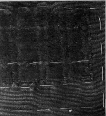 Fig. 7. A portion of a finished darn on corded silk