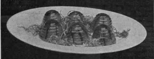 Foie  gras in aspic. Set in tiny dariole moulds, this savoury is decorated with cut truffle and chillies