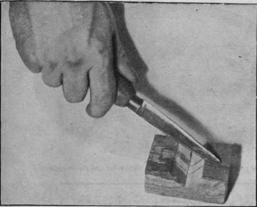 Obtain an oyster knife of the pattern shown here, this being the most easy to man' ipulate. A block of wood shaped as in illustration should also be provided