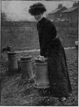 Ordinary chimney pots costing Is. 3d. apiece may be used for forcing early rhubarb, and are as effective as rhubarb pots costing 3s.