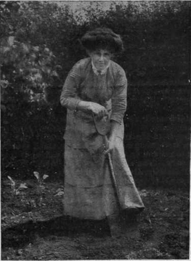 The correct position for digging, which, if adopted, will save backache and fatigue. The hands should be placed as illustrated and the spade should enter the soil at a slight angle