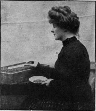 Tomato seed must be set an inch apart and if a table knife is used this tiny seed may easily be placed the correct distance asunder market garden