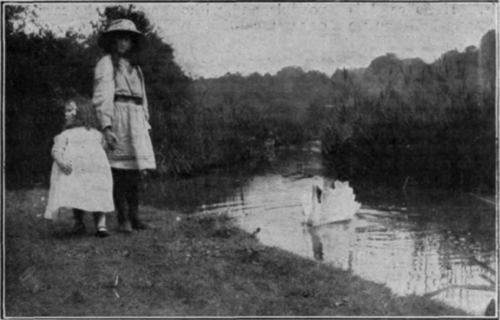 A charming little snapshot of a typical country scene, only part of which is to be enlarged