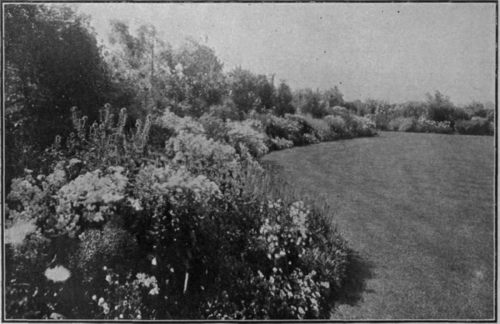 A corner of the herbaceous border. Such a border should begin with low toned colouring, and, increasing in strength of colour, revert to delicate tones again through a repetition of the scheme Copyright, Ware & Sons, Feltham