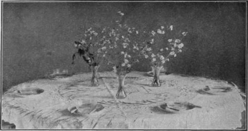 A decorative scheme of wild grasses and white campions in clear crystal vases. Two frinjes of wild oats arranged on the tablecloth emphasise the note of delicacy and coolness