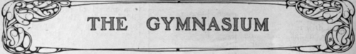 An Erroneous Impression Removed   Gymnastics an Aid to Beauty and Grace   Feats are Simpler than they Seem   The Importance of Graceful Style