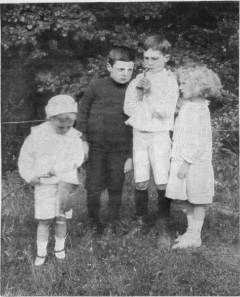 An inexpensive lens will reveal the wealth of pond life, and will interest children of all ages in natural science