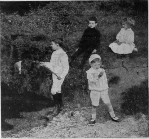Dredging the pond for subjects for the microscope or aquarium. A home made dredger can be formed of a wide mouthed bottle, a piece of muslin, and a length of strong wire