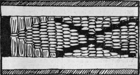 Fig 3. An elaborate but beautiful pattern of Persian design which will be found most effective as a border
