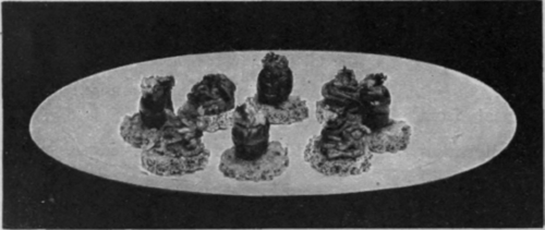 Savoury Olives and Anchovy Croutons. It is often convenient to serve a cold savoury, and this recipe is especially nice