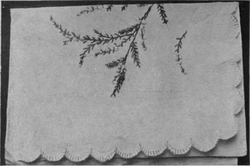 Sprays of heather, white or pink, are original in design and can be combined with any scent preferred