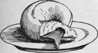 Whiting or haddock trussed with its tail through the eye sockets shape by tying a piece of narrow tape round it.