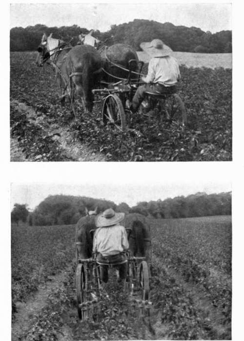 Two views of Iron Age Cultivator at work
