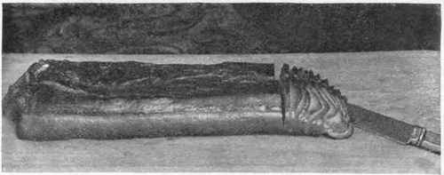 Cutting Bacon. (SEE PAGE 78).