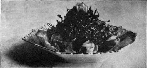 Salad Of Water Cress Garnished With Radishes Cut To Resemble Roses.