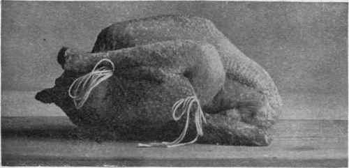 Trussed Chicken
