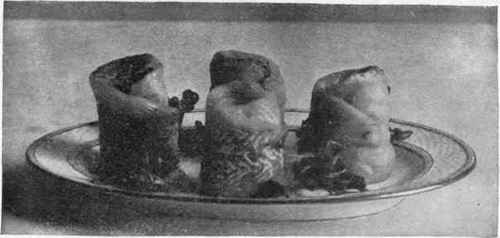 Turbans, Or Rolled Fillets Of Fish.