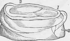 Fillet Of Veal