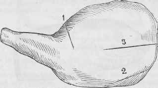Shoulder Of Mutton